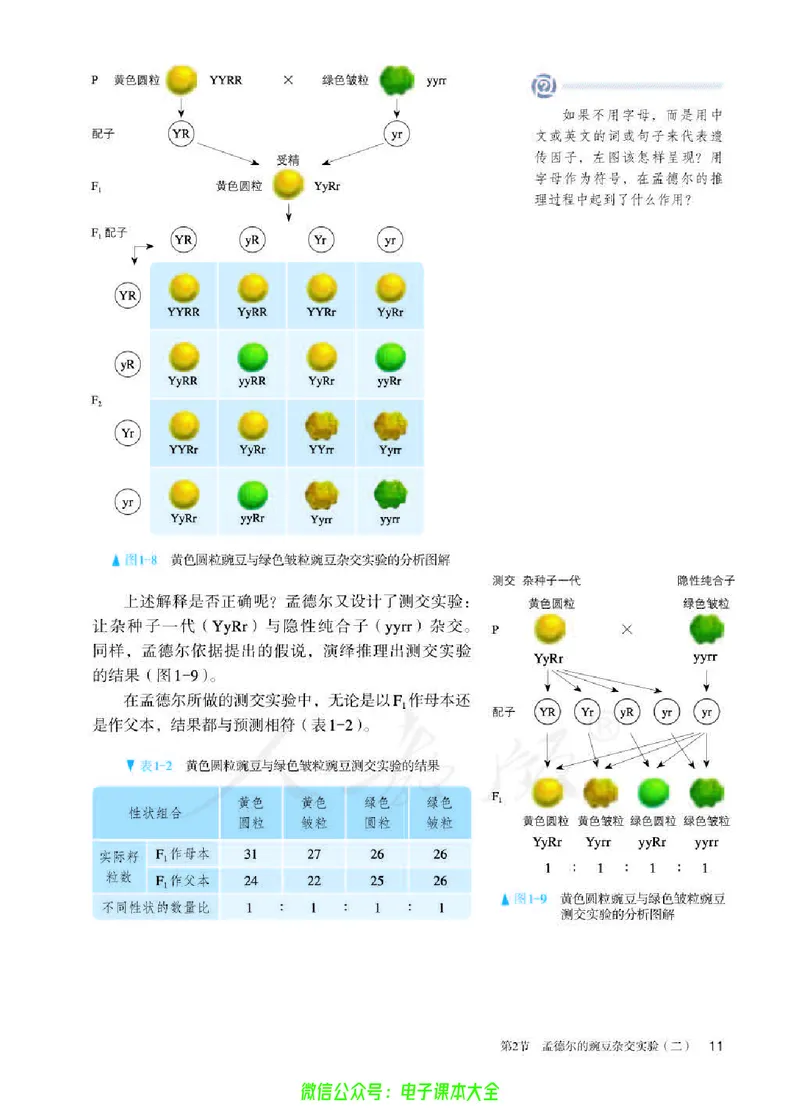 普通高中教科书生物学必修2遗传与进化_高中三年全科资料_高中_高中电子教材_高中生物学_人教版_旧