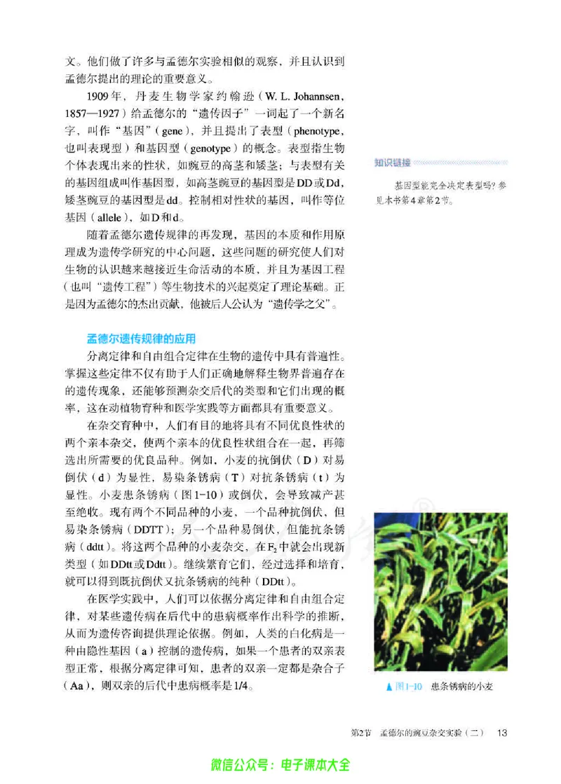 普通高中教科书生物学必修2遗传与进化_高中三年全科资料_高中_高中电子教材_高中生物学_人教版_旧