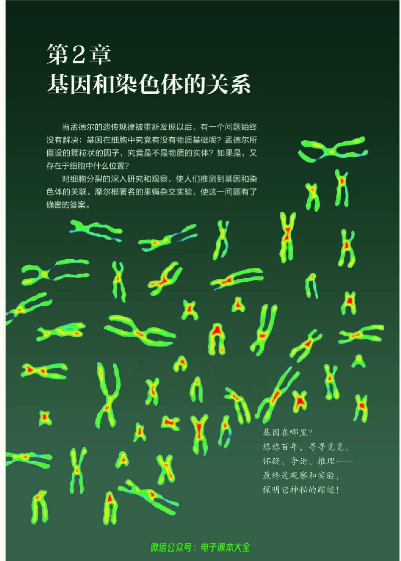 普通高中教科书生物学必修2遗传与进化_高中三年全科资料_高中_高中电子教材_高中生物学_人教版_旧