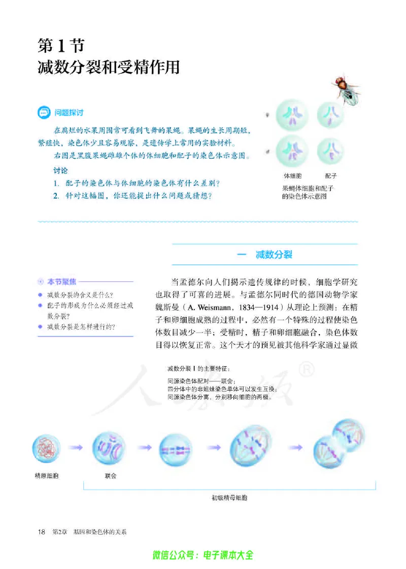 普通高中教科书生物学必修2遗传与进化_高中三年全科资料_高中_高中电子教材_高中生物学_人教版_旧