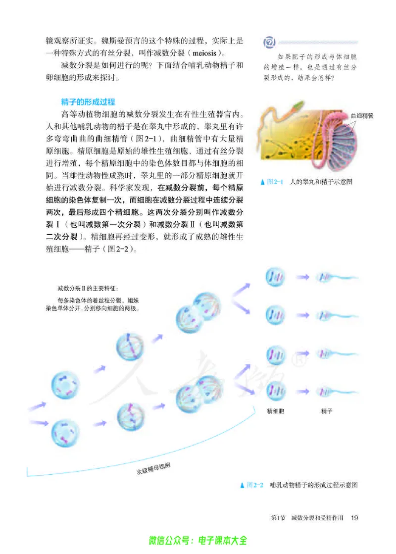 普通高中教科书生物学必修2遗传与进化_高中三年全科资料_高中_高中电子教材_高中生物学_人教版_旧