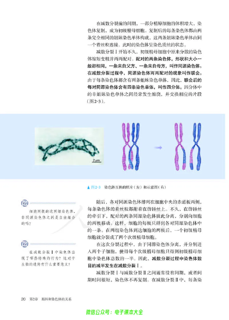 普通高中教科书生物学必修2遗传与进化_高中三年全科资料_高中_高中电子教材_高中生物学_人教版_旧