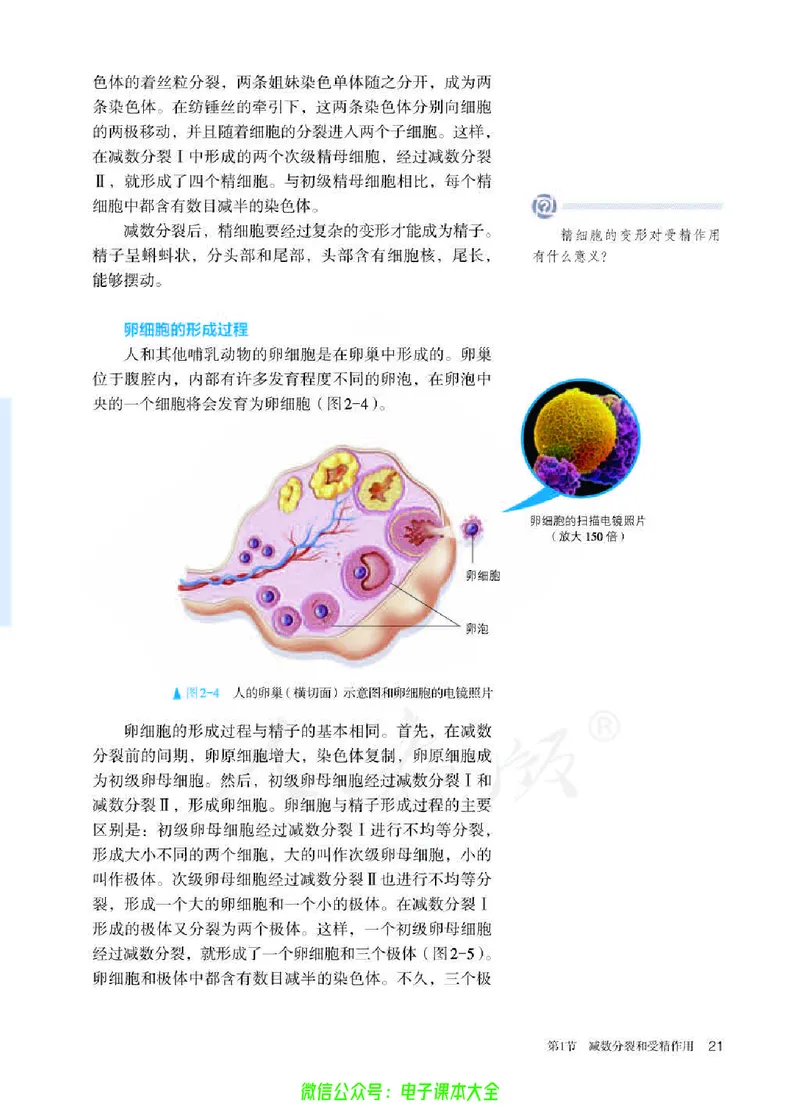 普通高中教科书生物学必修2遗传与进化_高中三年全科资料_高中_高中电子教材_高中生物学_人教版_旧