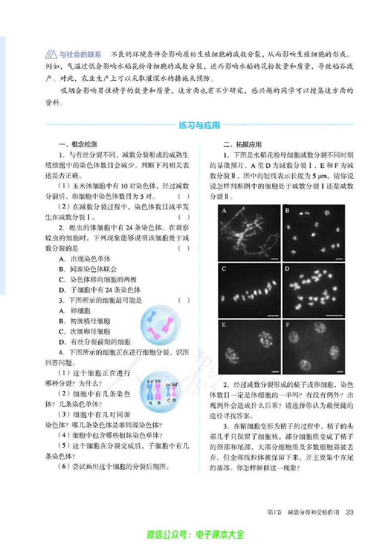 普通高中教科书生物学必修2遗传与进化_高中三年全科资料_高中_高中电子教材_高中生物学_人教版_旧