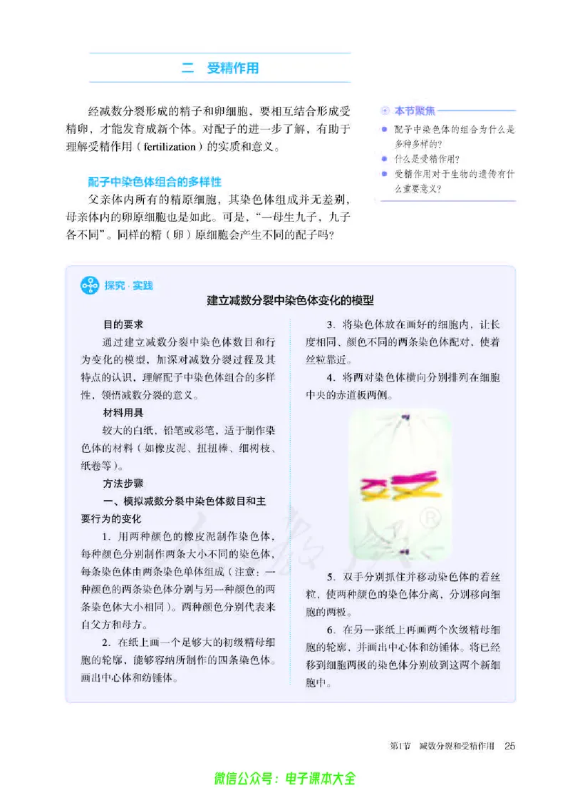 普通高中教科书生物学必修2遗传与进化_高中三年全科资料_高中_高中电子教材_高中生物学_人教版_旧