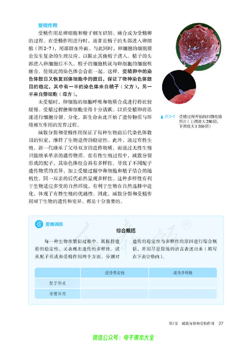 普通高中教科书生物学必修2遗传与进化_高中三年全科资料_高中_高中电子教材_高中生物学_人教版_旧