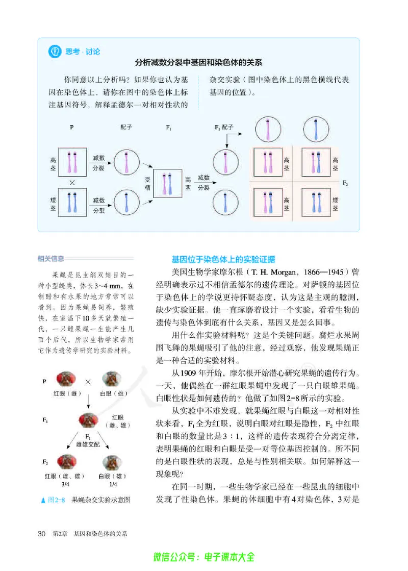 普通高中教科书生物学必修2遗传与进化_高中三年全科资料_高中_高中电子教材_高中生物学_人教版_旧