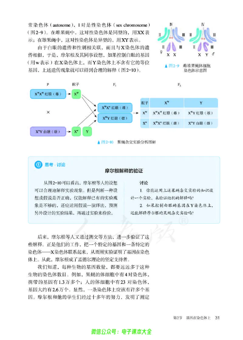 普通高中教科书生物学必修2遗传与进化_高中三年全科资料_高中_高中电子教材_高中生物学_人教版_旧