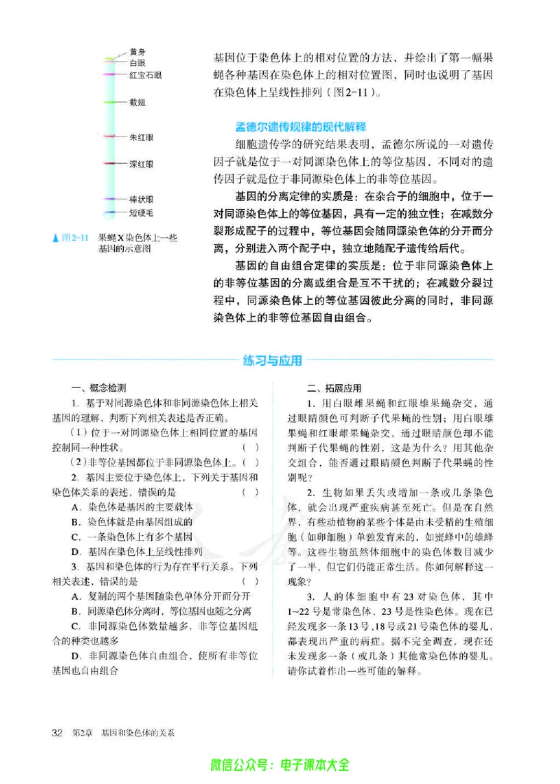 普通高中教科书生物学必修2遗传与进化_高中三年全科资料_高中_高中电子教材_高中生物学_人教版_旧