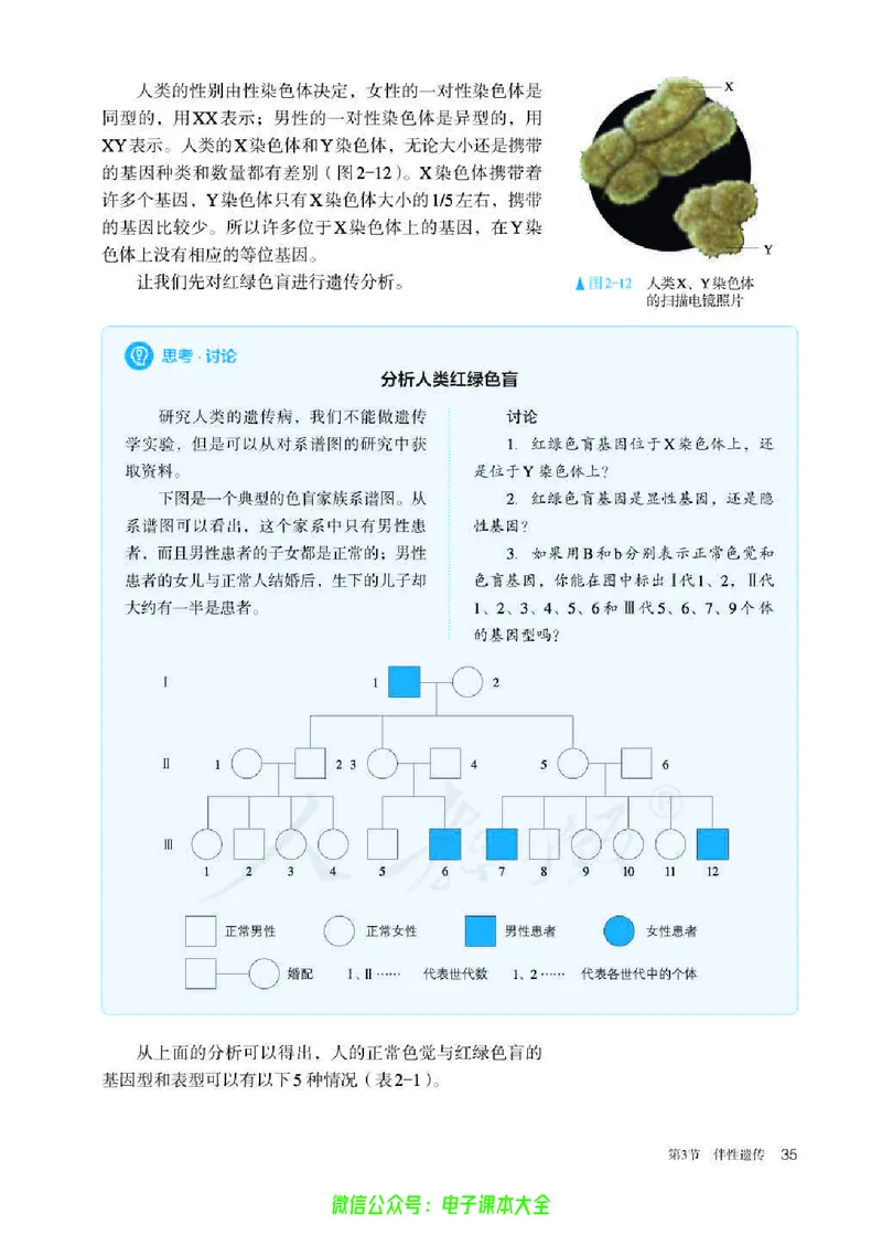 普通高中教科书生物学必修2遗传与进化_高中三年全科资料_高中_高中电子教材_高中生物学_人教版_旧