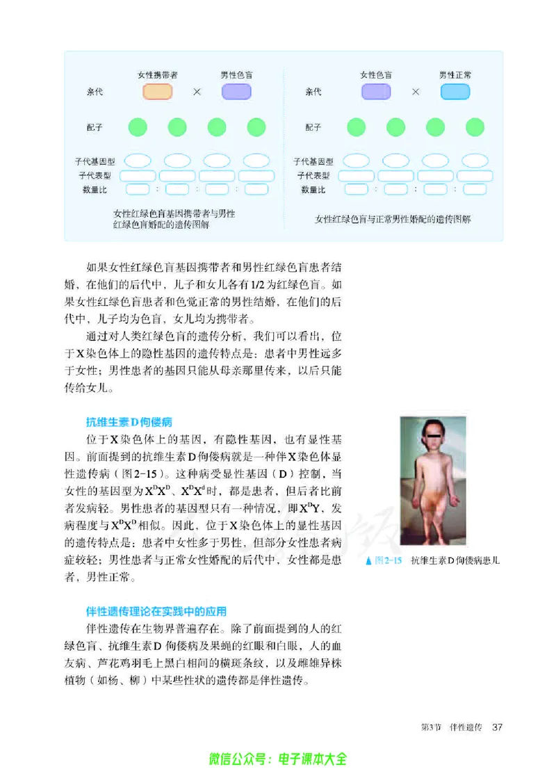 普通高中教科书生物学必修2遗传与进化_高中三年全科资料_高中_高中电子教材_高中生物学_人教版_旧