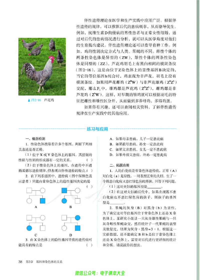 普通高中教科书生物学必修2遗传与进化_高中三年全科资料_高中_高中电子教材_高中生物学_人教版_旧
