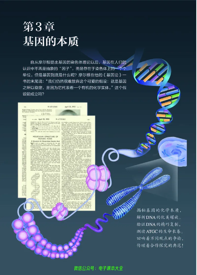 普通高中教科书生物学必修2遗传与进化_高中三年全科资料_高中_高中电子教材_高中生物学_人教版_旧