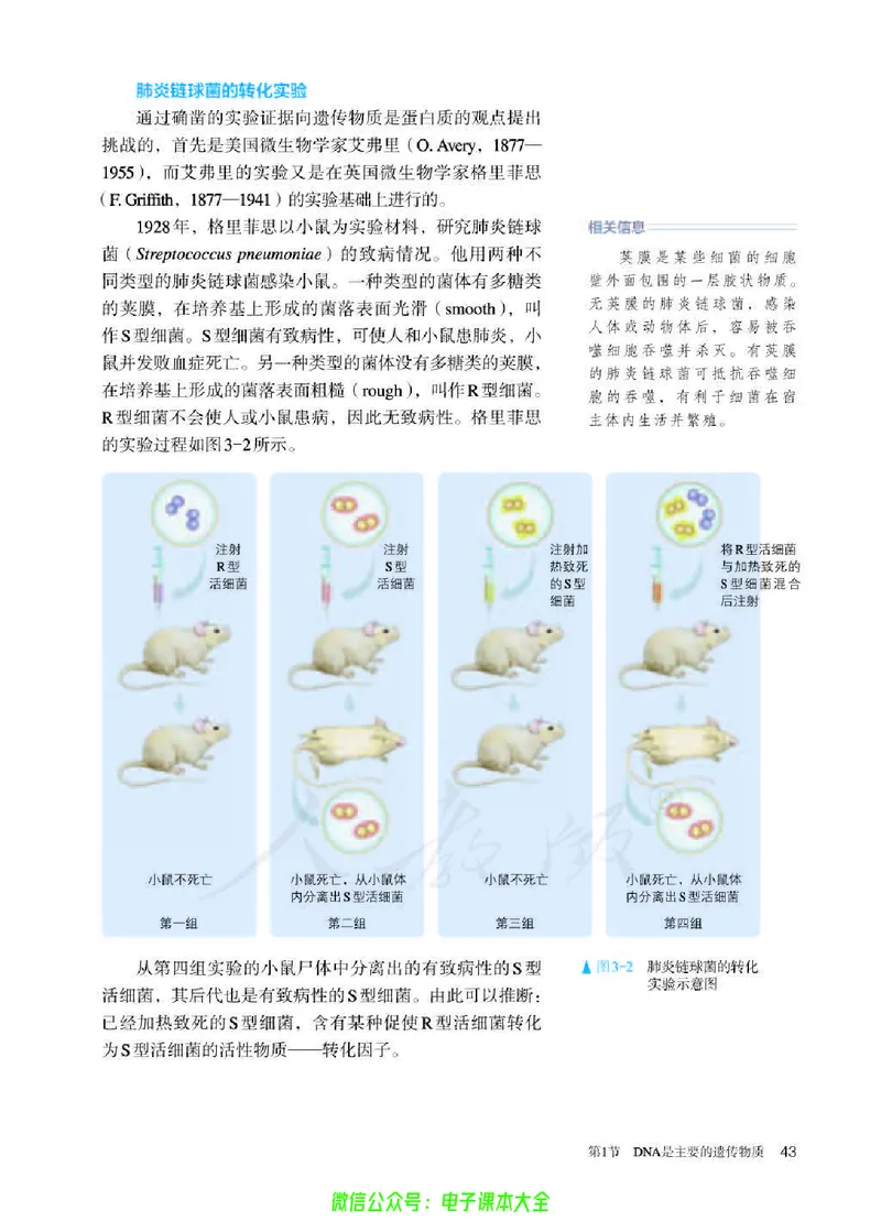普通高中教科书生物学必修2遗传与进化_高中三年全科资料_高中_高中电子教材_高中生物学_人教版_旧