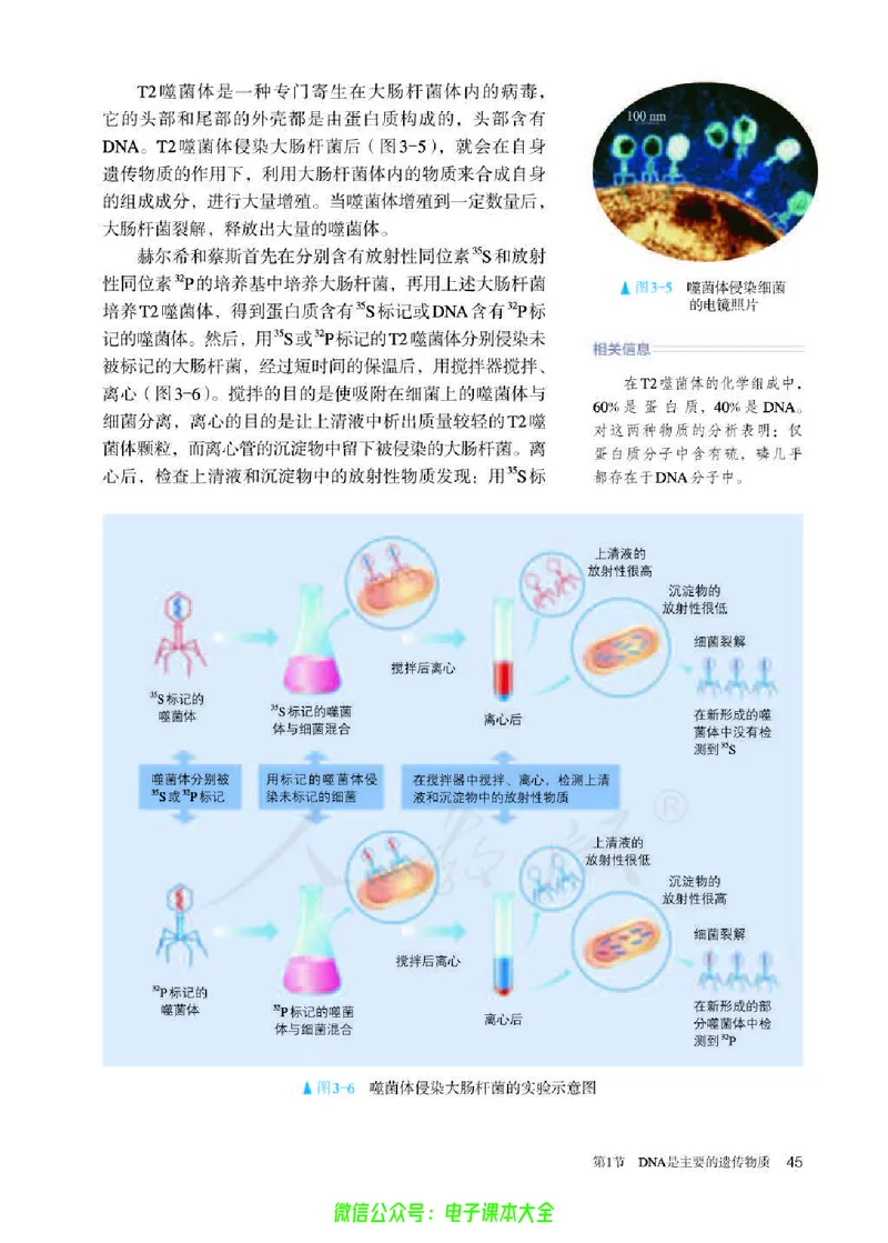 普通高中教科书生物学必修2遗传与进化_高中三年全科资料_高中_高中电子教材_高中生物学_人教版_旧