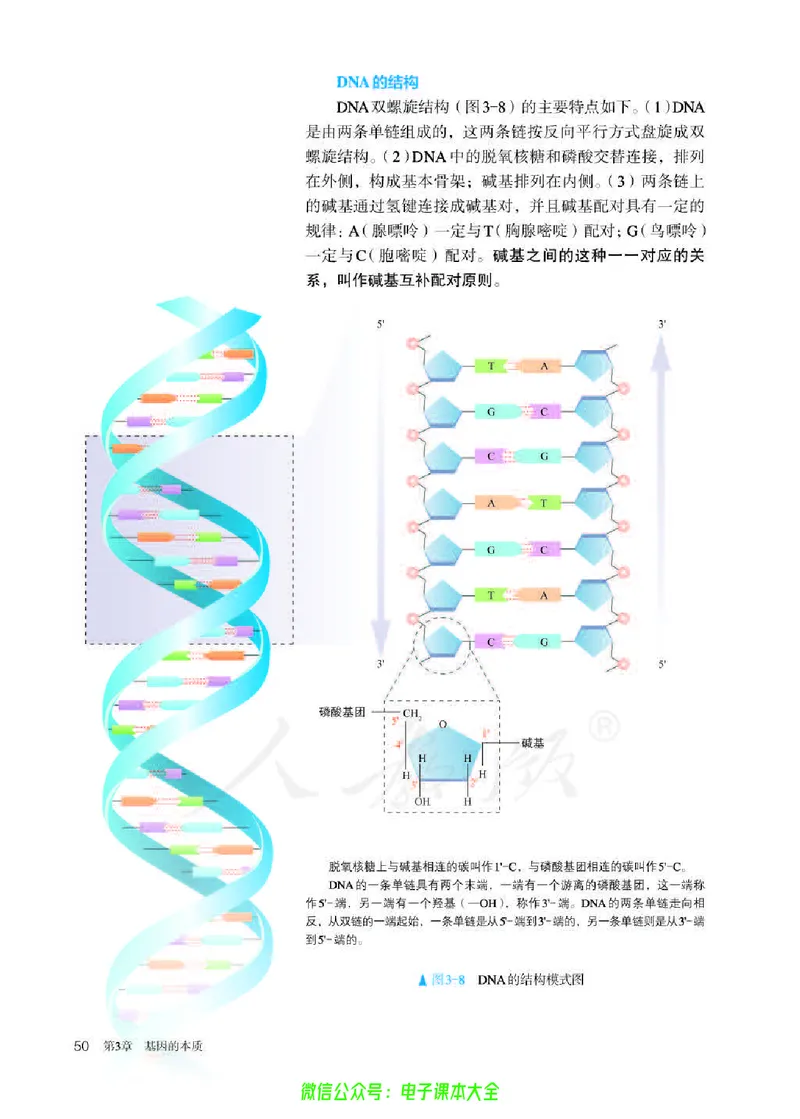 普通高中教科书生物学必修2遗传与进化_高中三年全科资料_高中_高中电子教材_高中生物学_人教版_旧