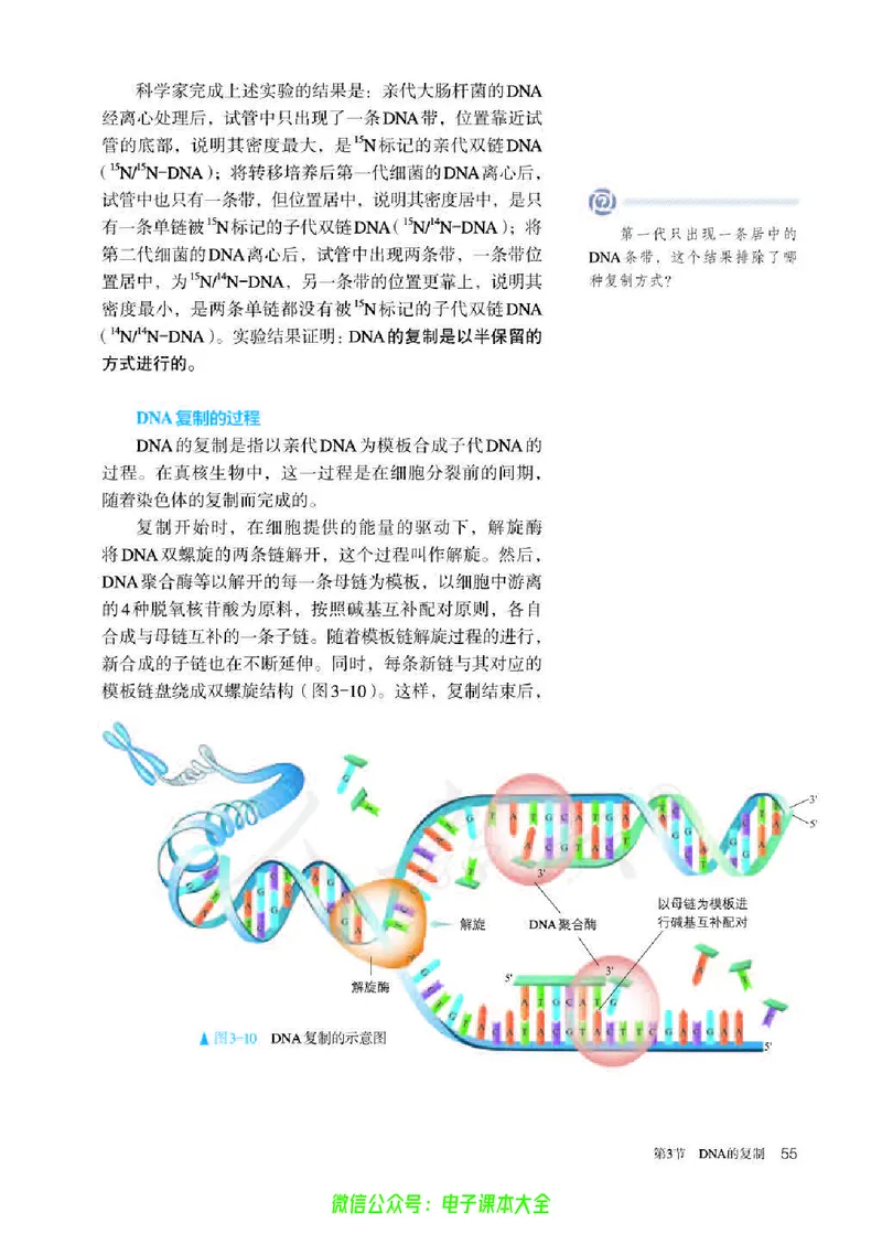 普通高中教科书生物学必修2遗传与进化_高中三年全科资料_高中_高中电子教材_高中生物学_人教版_旧