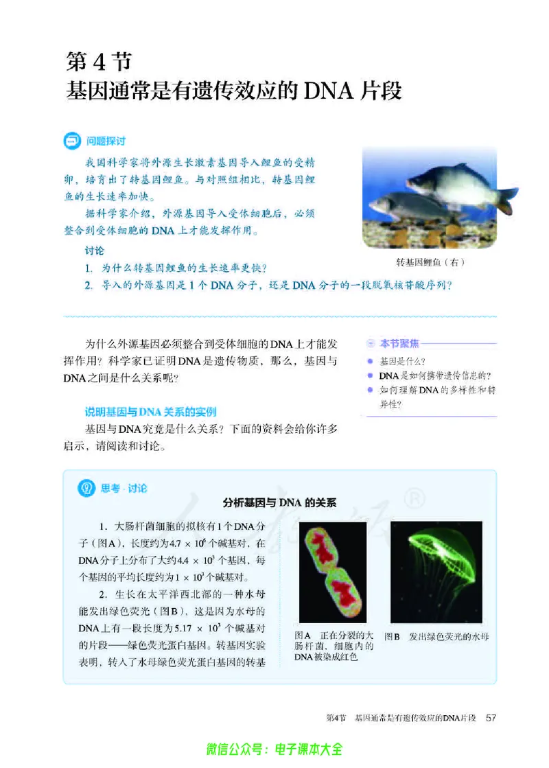 普通高中教科书生物学必修2遗传与进化_高中三年全科资料_高中_高中电子教材_高中生物学_人教版_旧