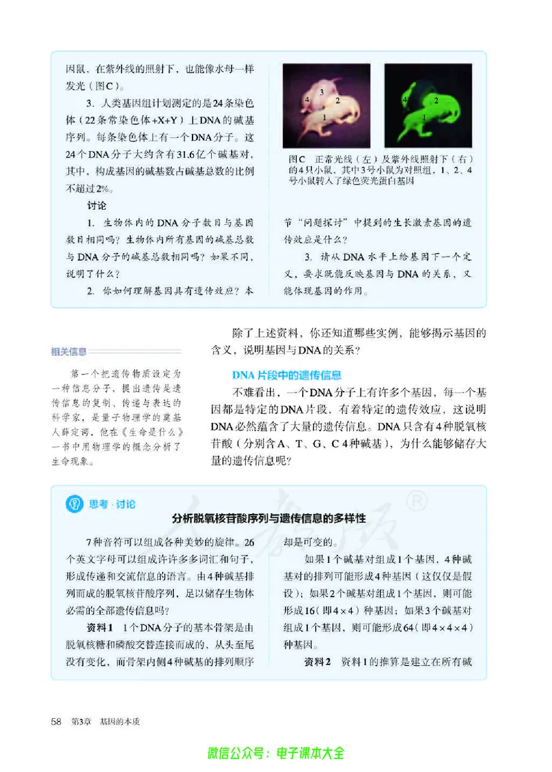 普通高中教科书生物学必修2遗传与进化_高中三年全科资料_高中_高中电子教材_高中生物学_人教版_旧