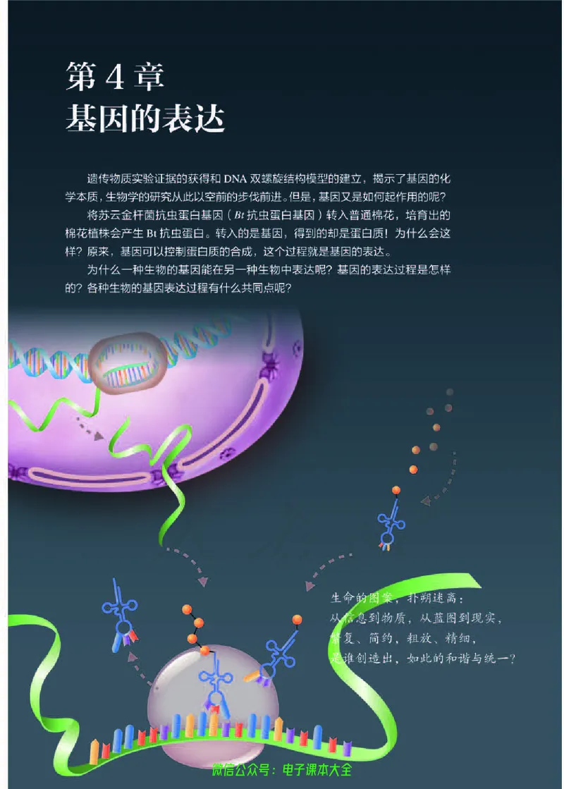 普通高中教科书生物学必修2遗传与进化_高中三年全科资料_高中_高中电子教材_高中生物学_人教版_旧