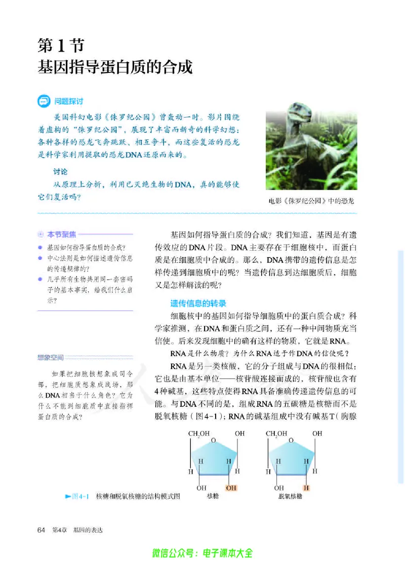 普通高中教科书生物学必修2遗传与进化_高中三年全科资料_高中_高中电子教材_高中生物学_人教版_旧