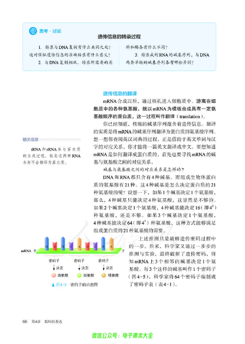 普通高中教科书生物学必修2遗传与进化_高中三年全科资料_高中_高中电子教材_高中生物学_人教版_旧