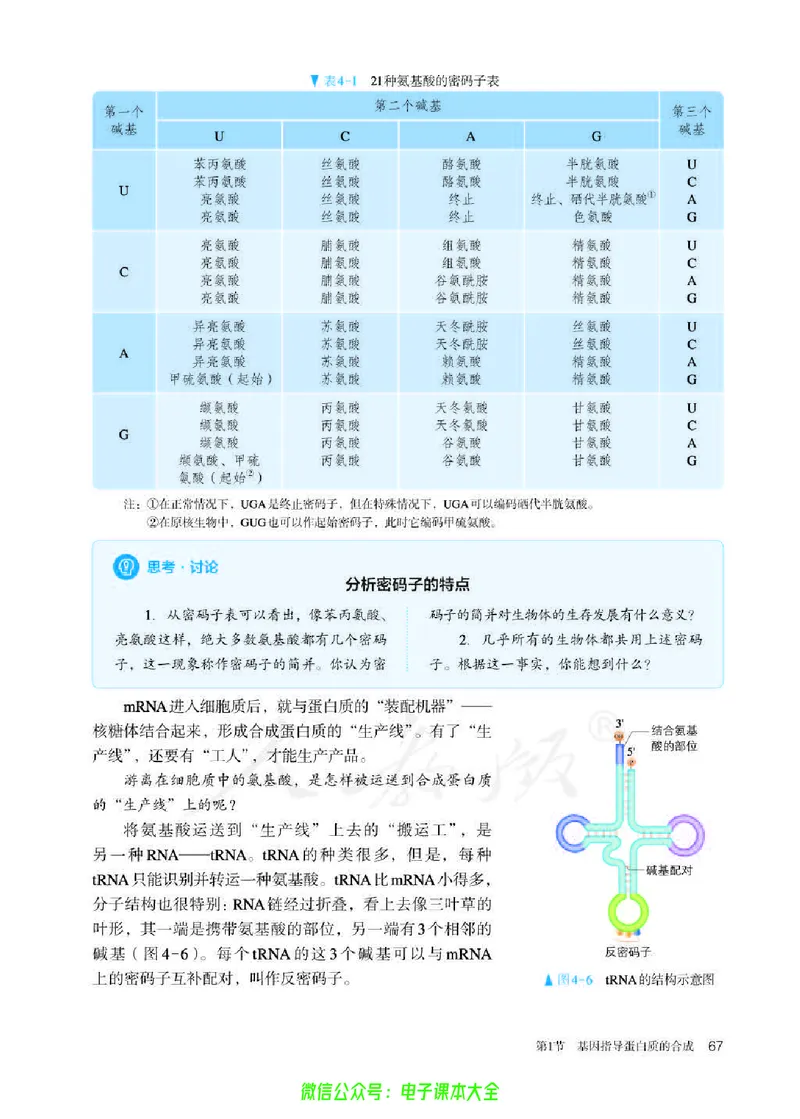 普通高中教科书生物学必修2遗传与进化_高中三年全科资料_高中_高中电子教材_高中生物学_人教版_旧