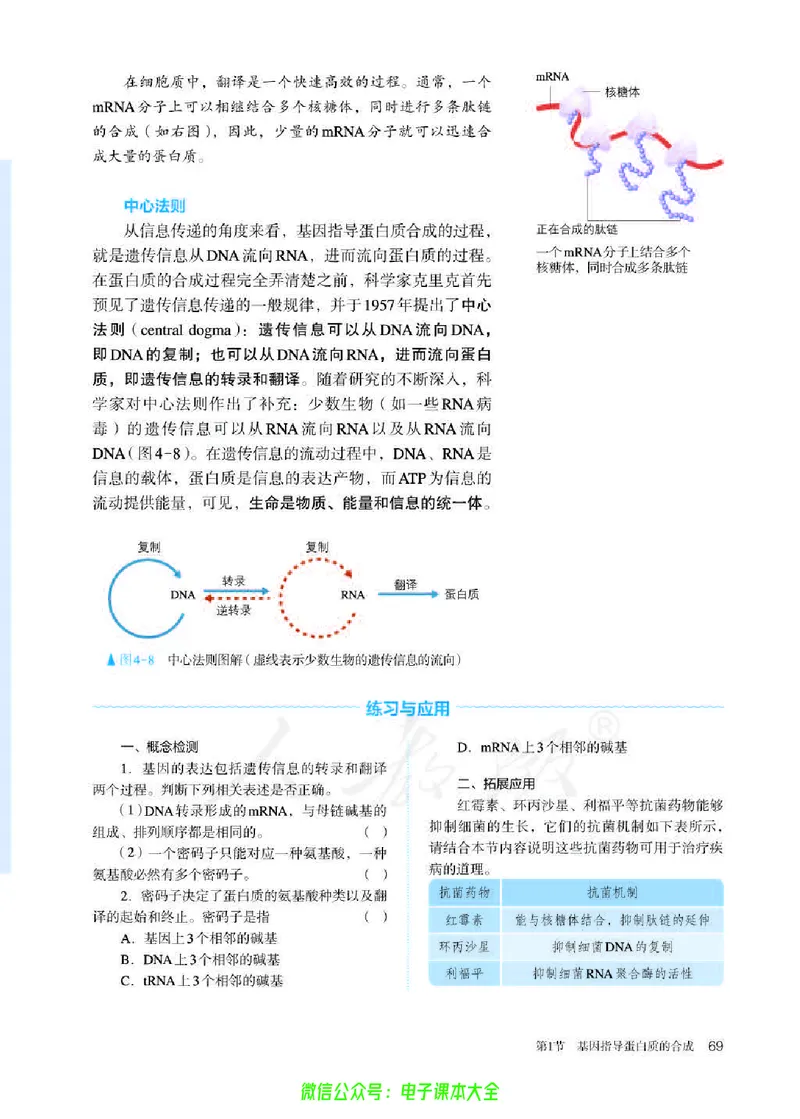 普通高中教科书生物学必修2遗传与进化_高中三年全科资料_高中_高中电子教材_高中生物学_人教版_旧