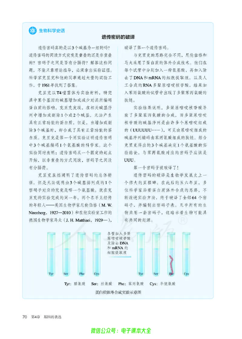 普通高中教科书生物学必修2遗传与进化_高中三年全科资料_高中_高中电子教材_高中生物学_人教版_旧