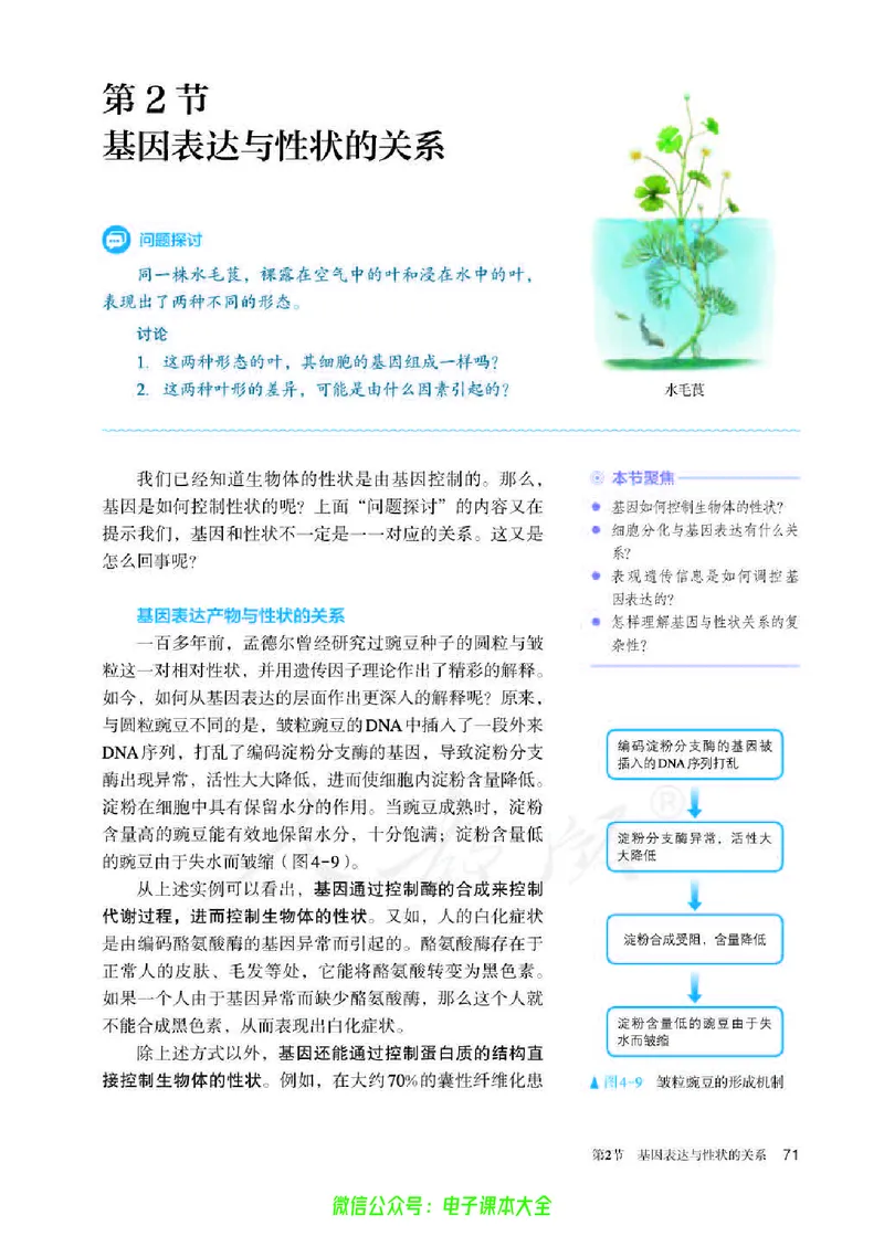 普通高中教科书生物学必修2遗传与进化_高中三年全科资料_高中_高中电子教材_高中生物学_人教版_旧