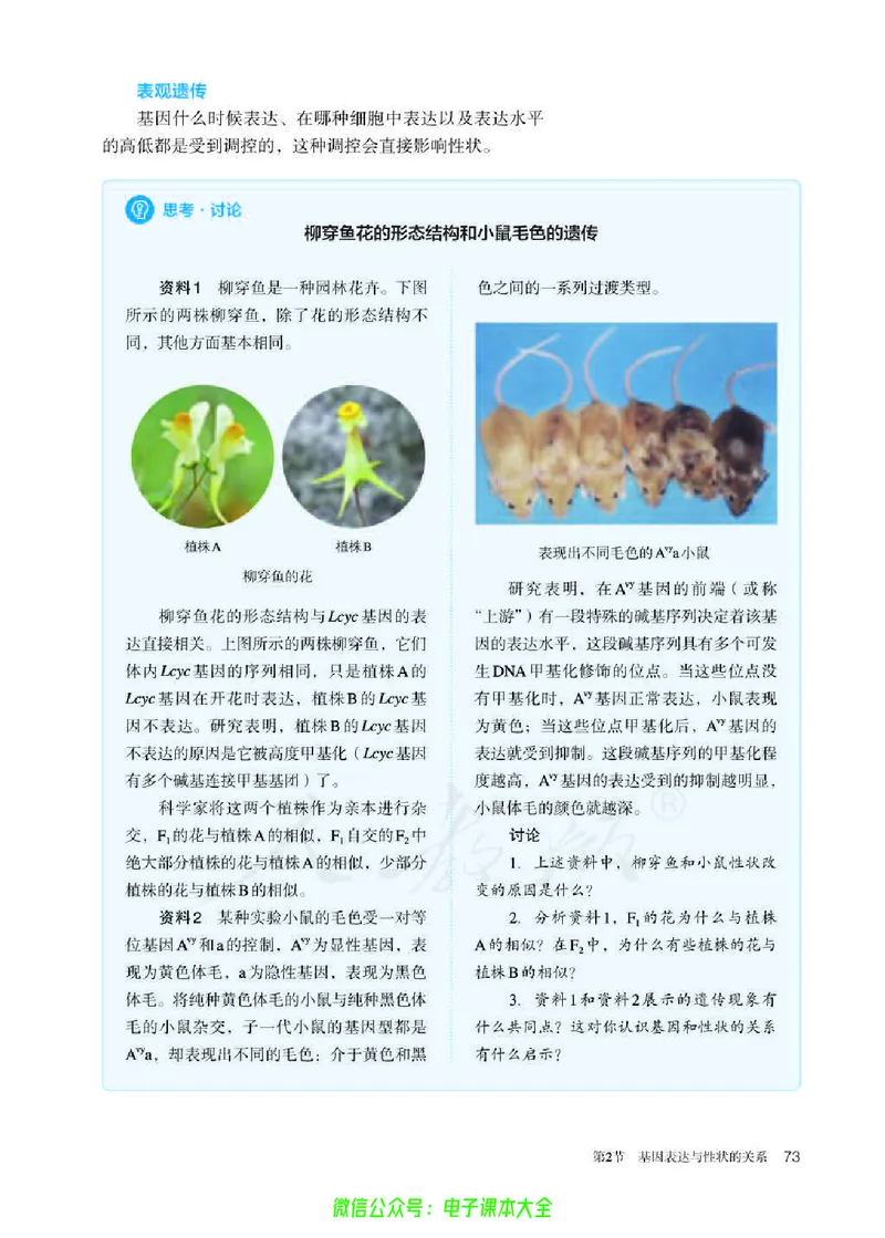 普通高中教科书生物学必修2遗传与进化_高中三年全科资料_高中_高中电子教材_高中生物学_人教版_旧