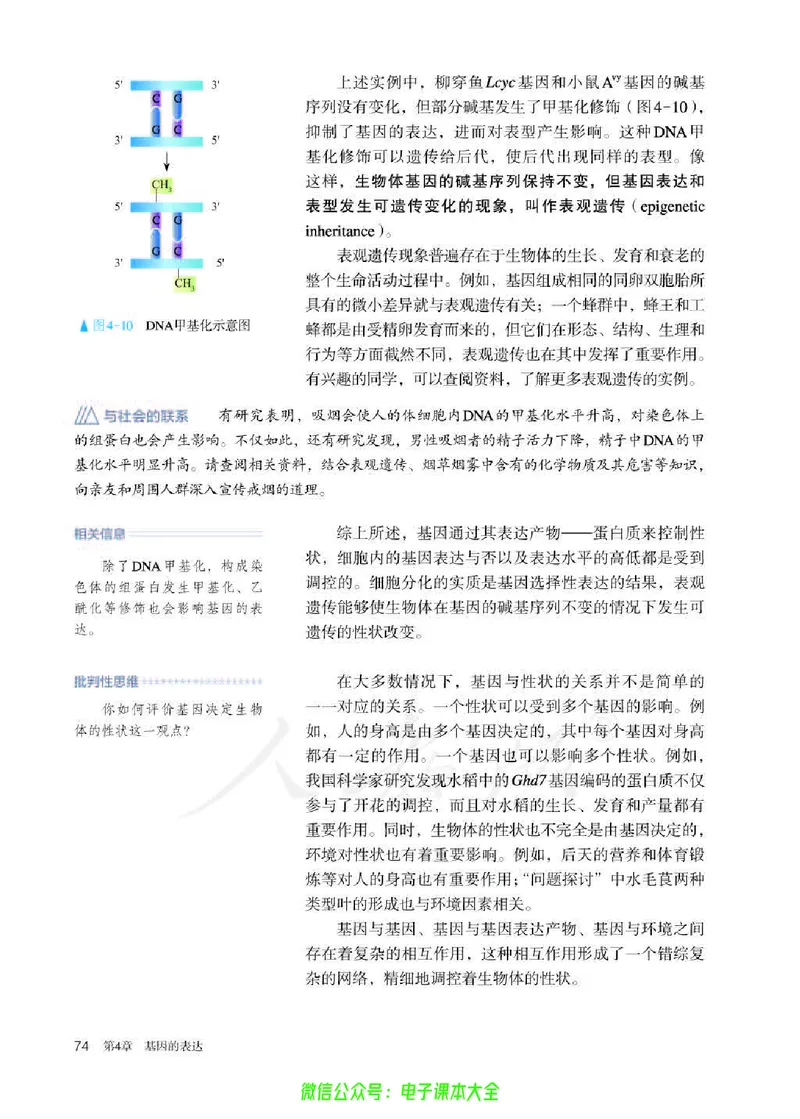 普通高中教科书生物学必修2遗传与进化_高中三年全科资料_高中_高中电子教材_高中生物学_人教版_旧