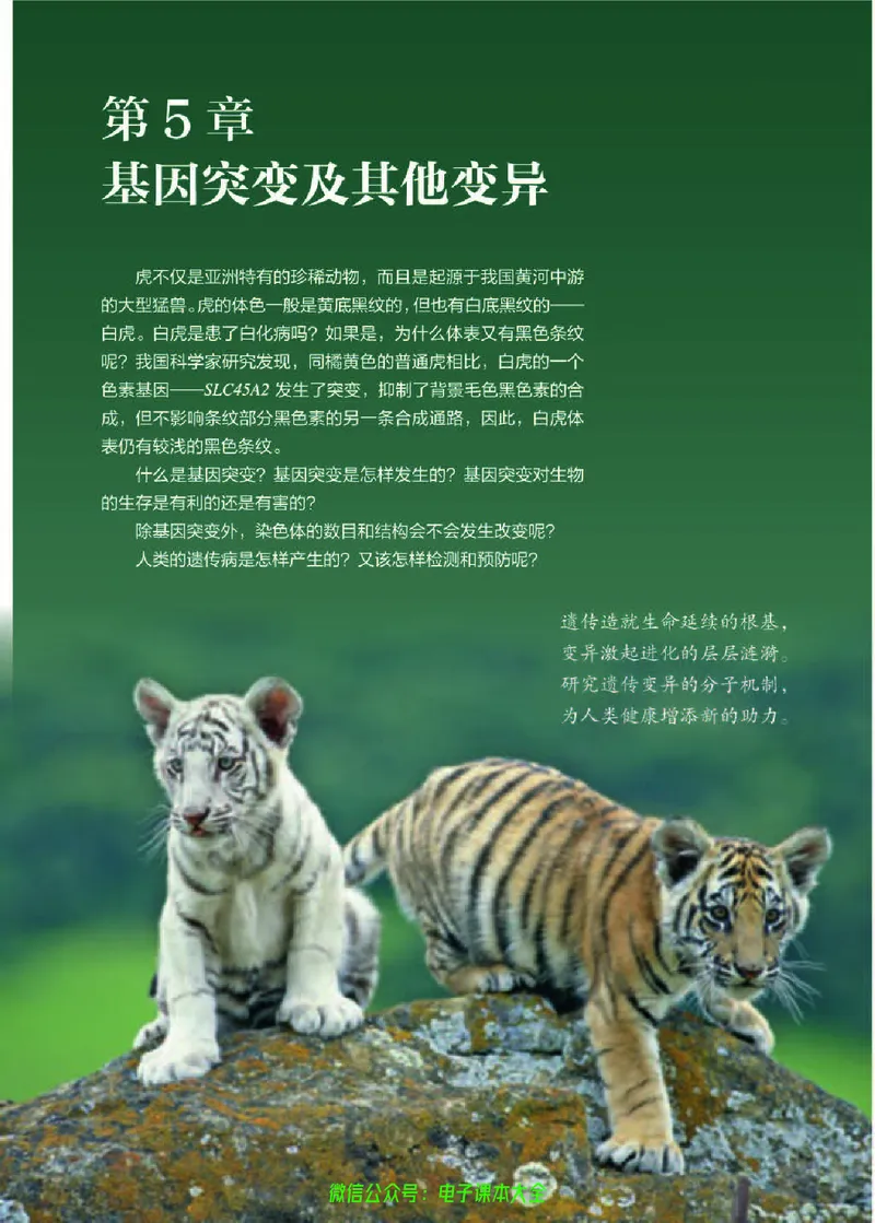 普通高中教科书生物学必修2遗传与进化_高中三年全科资料_高中_高中电子教材_高中生物学_人教版_旧