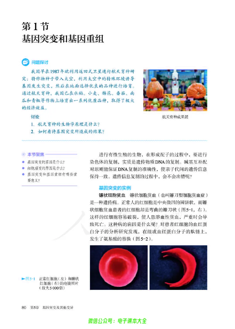 普通高中教科书生物学必修2遗传与进化_高中三年全科资料_高中_高中电子教材_高中生物学_人教版_旧