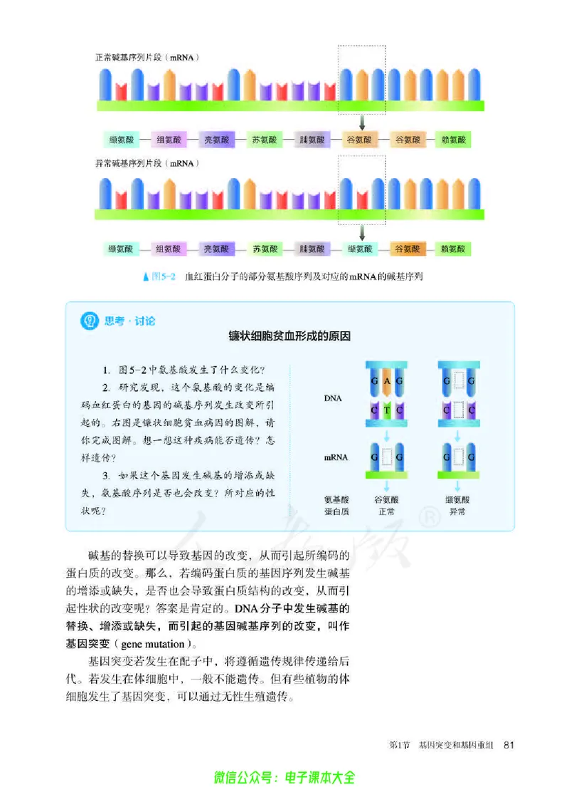 普通高中教科书生物学必修2遗传与进化_高中三年全科资料_高中_高中电子教材_高中生物学_人教版_旧
