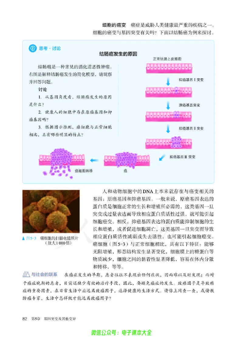普通高中教科书生物学必修2遗传与进化_高中三年全科资料_高中_高中电子教材_高中生物学_人教版_旧