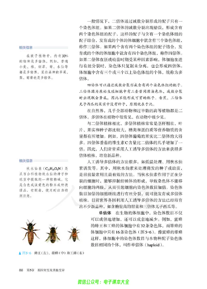 普通高中教科书生物学必修2遗传与进化_高中三年全科资料_高中_高中电子教材_高中生物学_人教版_旧