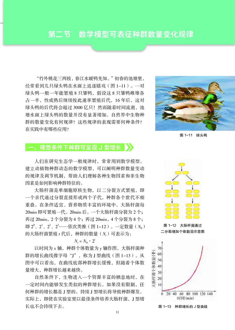 生物学选择性必修2（电子版）_高中三年全科资料_高中_高中电子教材_高中生物学_沪科教版