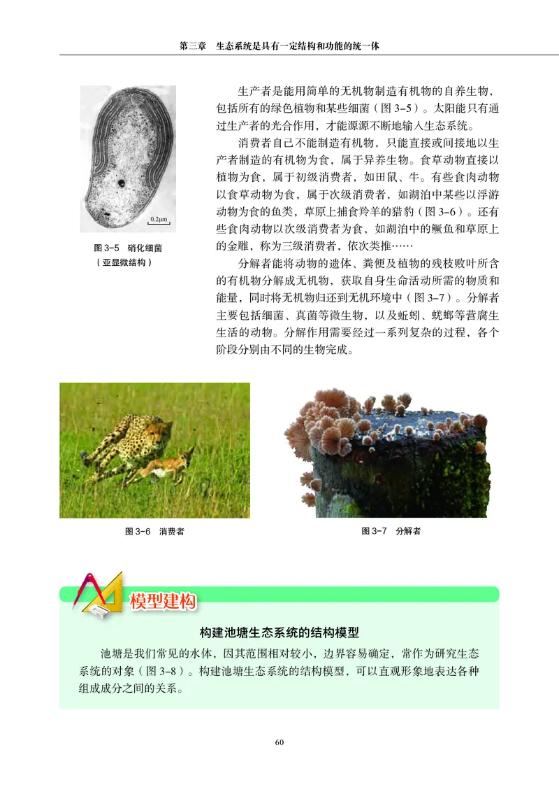 生物学选择性必修2（电子版）_高中三年全科资料_高中_高中电子教材_高中生物学_沪科教版