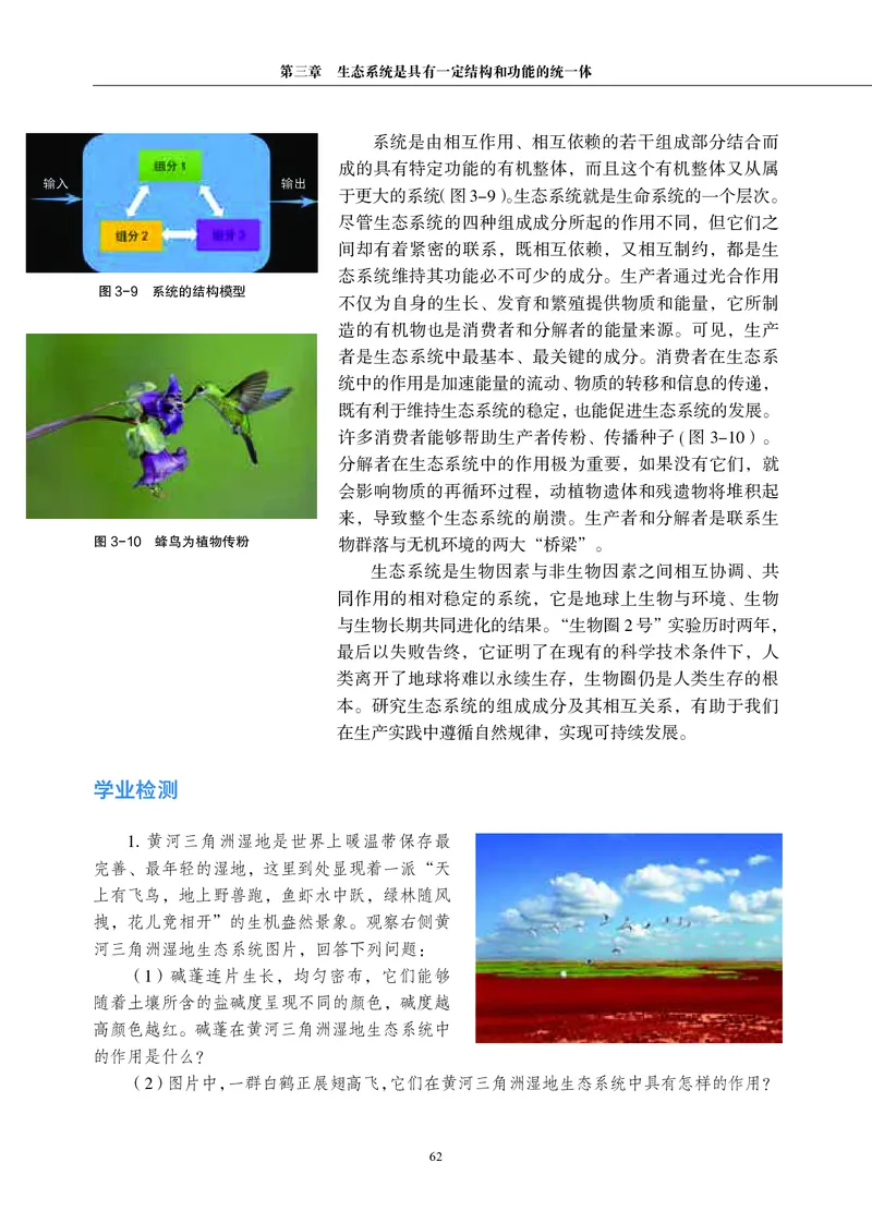 生物学选择性必修2（电子版）_高中三年全科资料_高中_高中电子教材_高中生物学_沪科教版