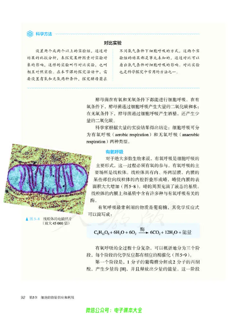 普通高中教科书生物学必修1分子与细胞_高中三年全科资料_高中_高中电子教材_高中生物学_人教版_旧