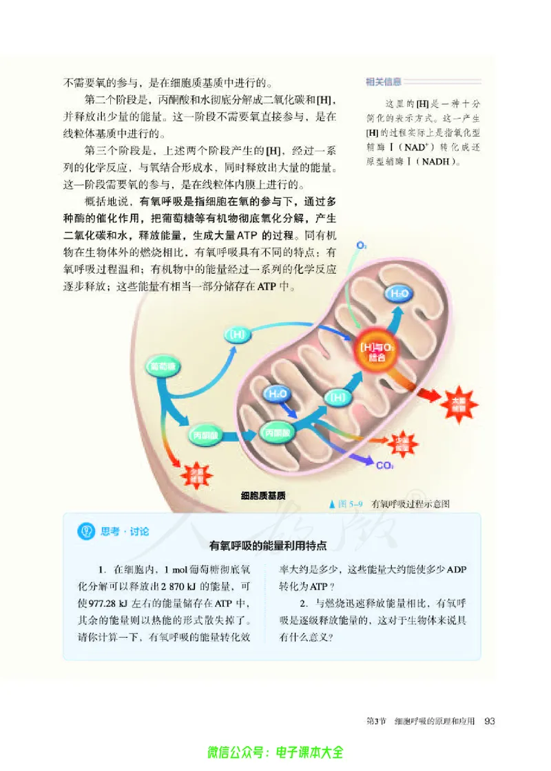 普通高中教科书生物学必修1分子与细胞_高中三年全科资料_高中_高中电子教材_高中生物学_人教版_旧