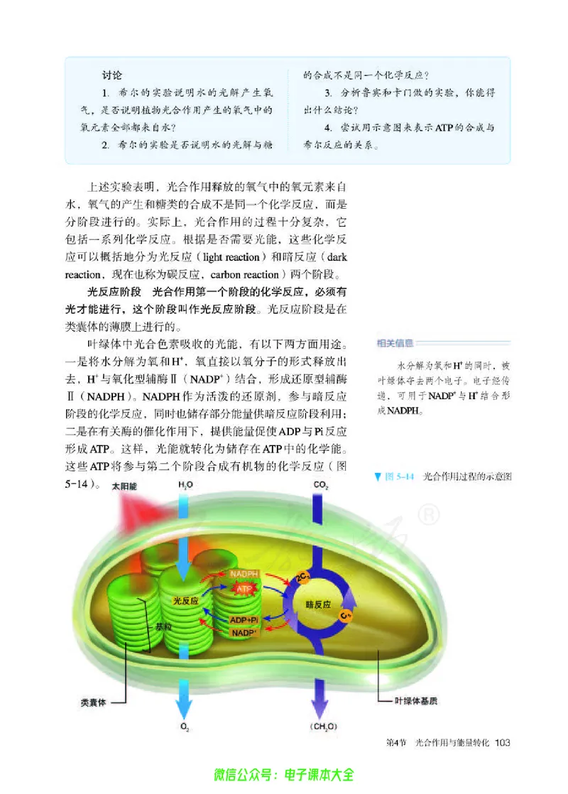 普通高中教科书生物学必修1分子与细胞_高中三年全科资料_高中_高中电子教材_高中生物学_人教版_旧