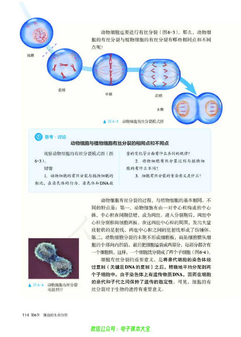 普通高中教科书生物学必修1分子与细胞_高中三年全科资料_高中_高中电子教材_高中生物学_人教版_旧
