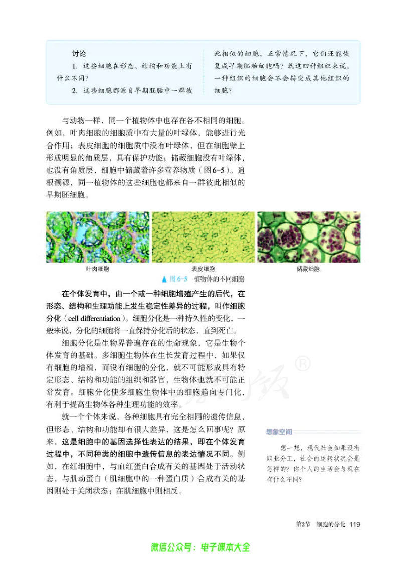 普通高中教科书生物学必修1分子与细胞_高中三年全科资料_高中_高中电子教材_高中生物学_人教版_旧