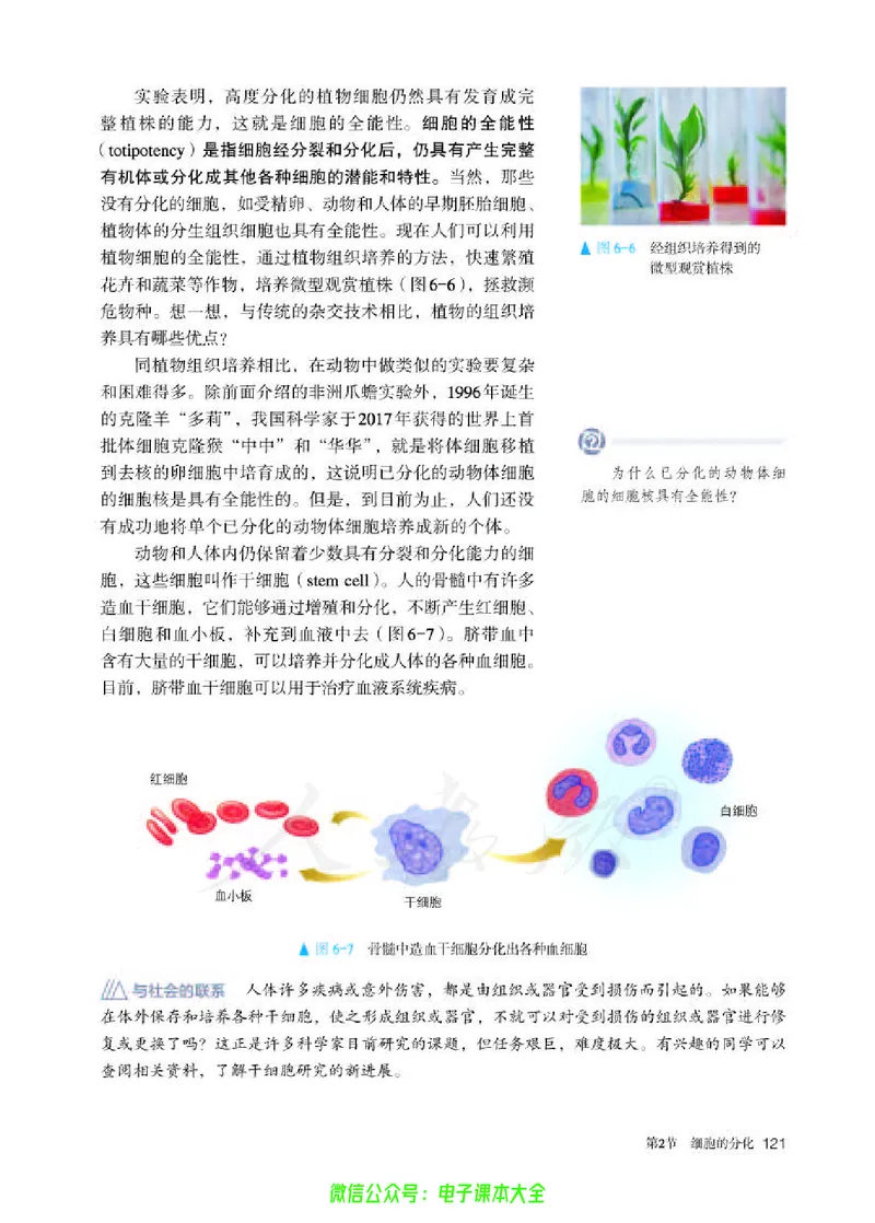 普通高中教科书生物学必修1分子与细胞_高中三年全科资料_高中_高中电子教材_高中生物学_人教版_旧