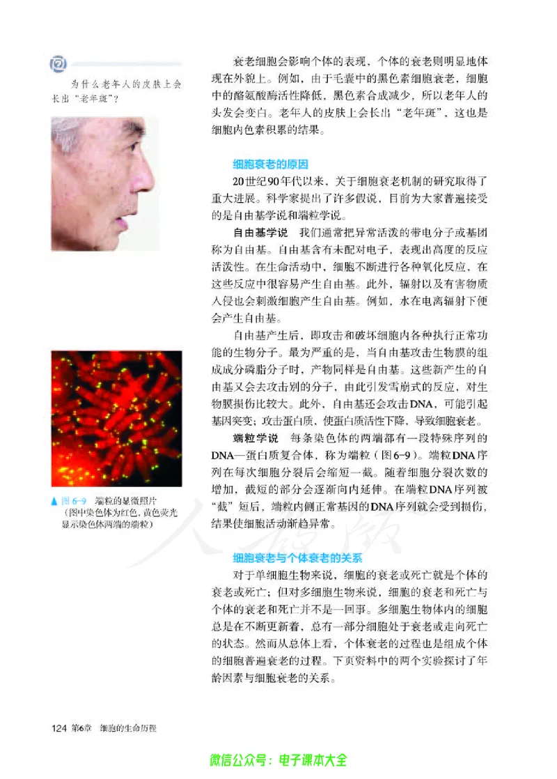 普通高中教科书生物学必修1分子与细胞_高中三年全科资料_高中_高中电子教材_高中生物学_人教版_旧