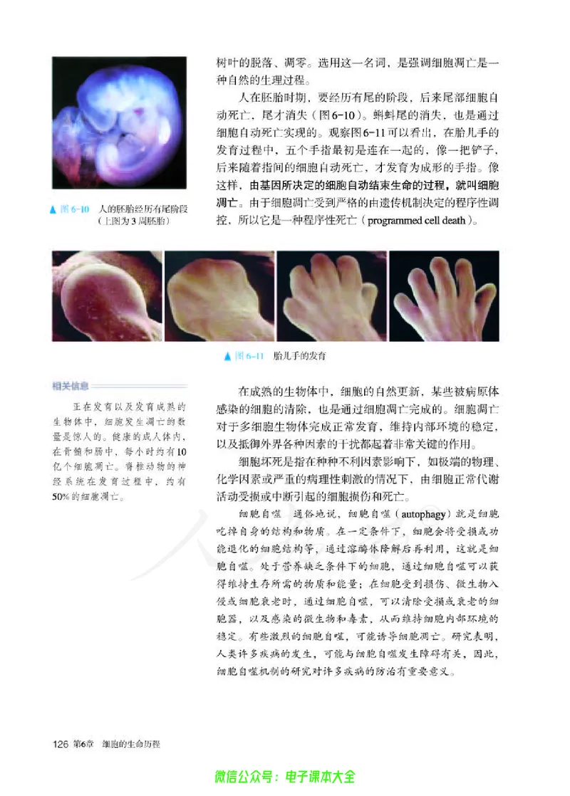 普通高中教科书生物学必修1分子与细胞_高中三年全科资料_高中_高中电子教材_高中生物学_人教版_旧
