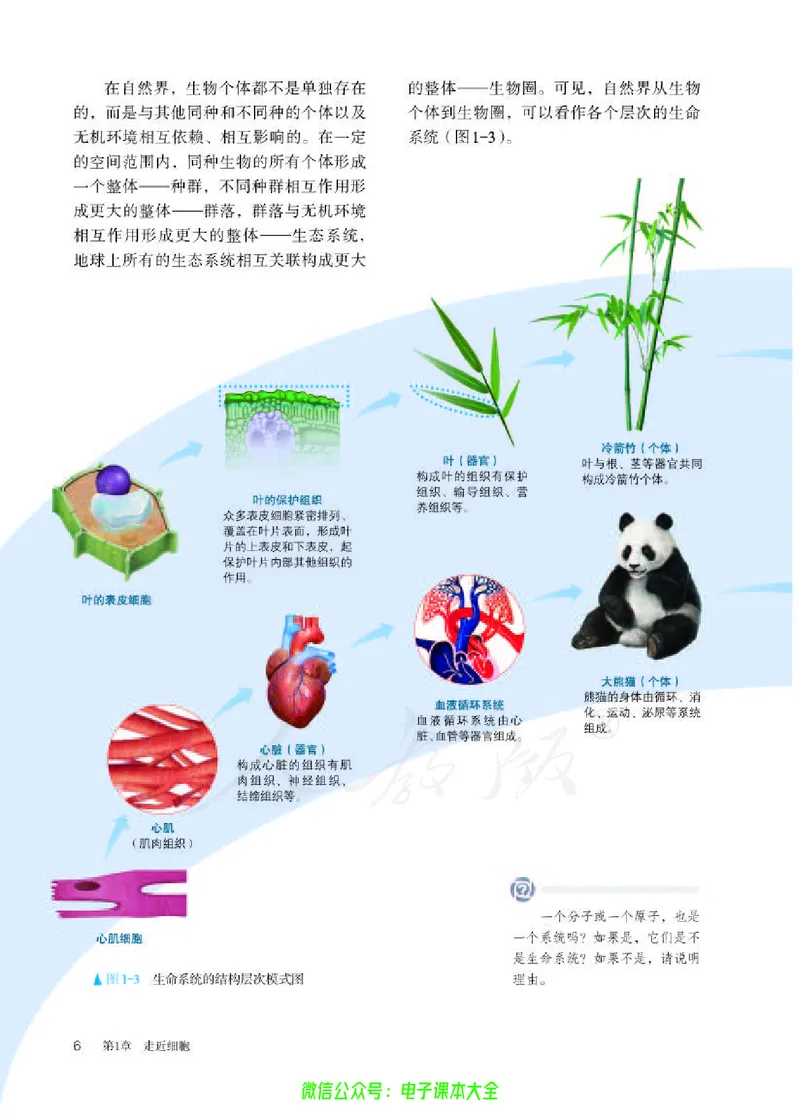 普通高中教科书生物学必修1分子与细胞_高中三年全科资料_高中_高中电子教材_高中生物学_人教版_旧