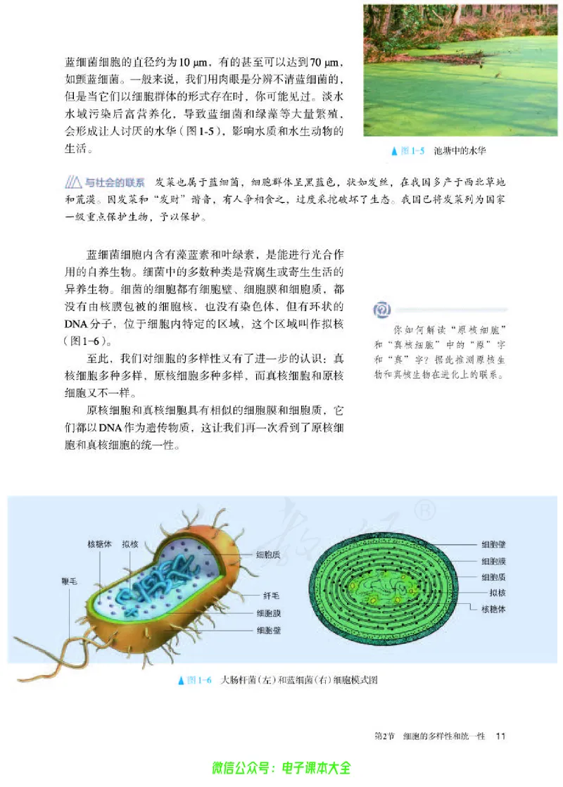 普通高中教科书生物学必修1分子与细胞_高中三年全科资料_高中_高中电子教材_高中生物学_人教版_旧